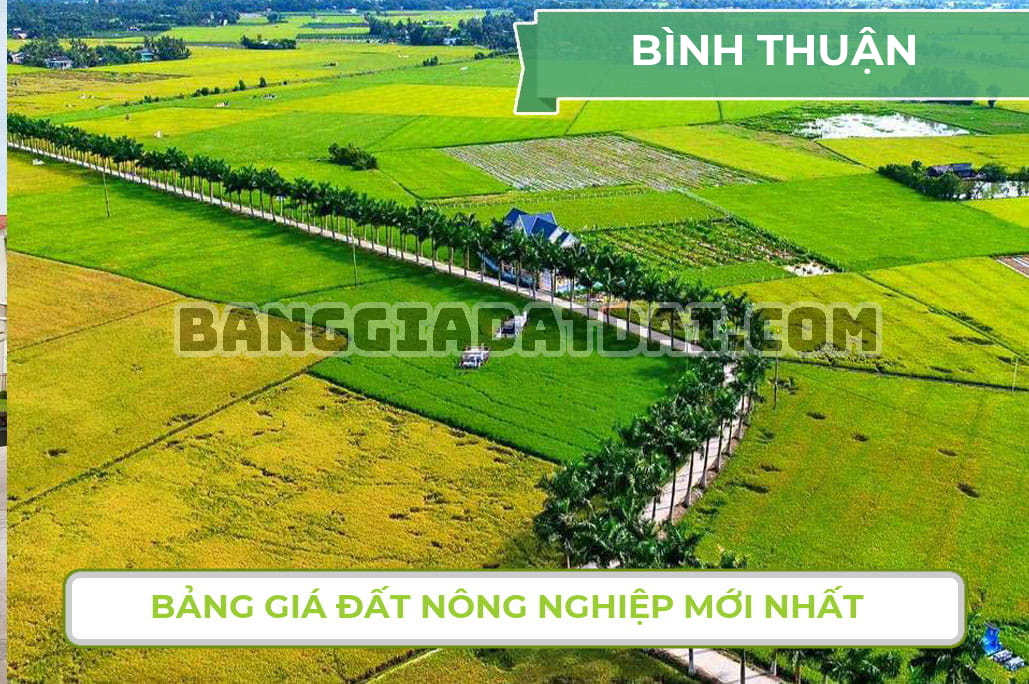Bảng giá đất nông nghiệp Bình Thuận mới nhất năm 2024