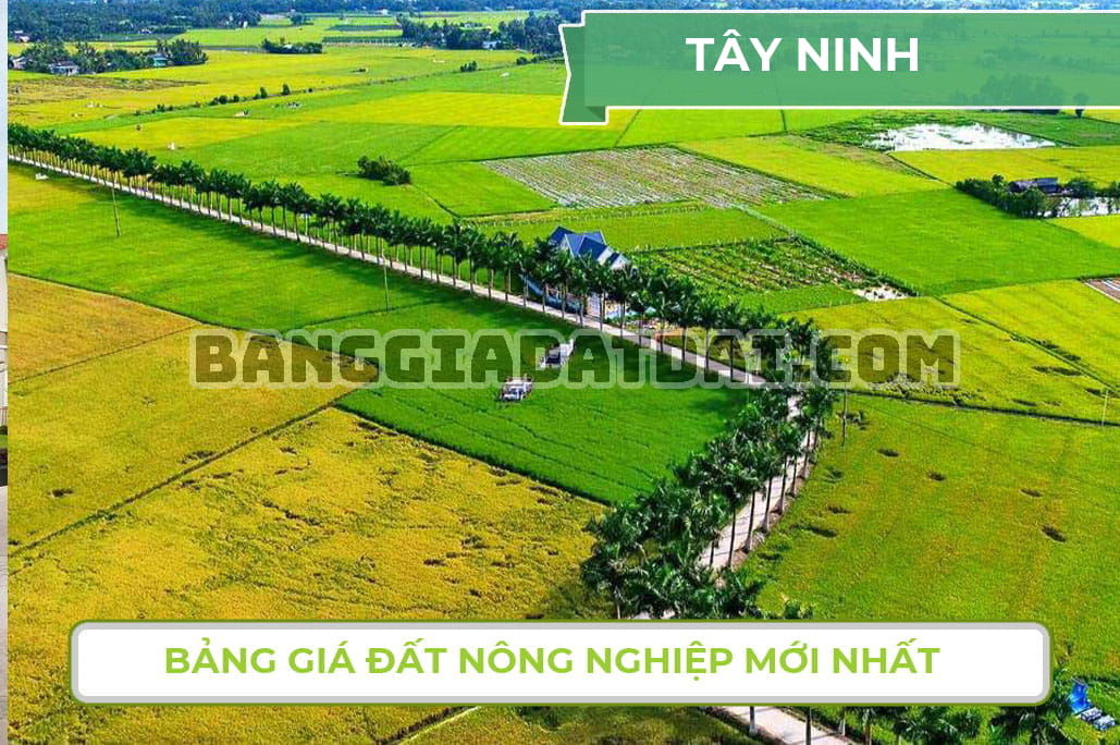 Bảng giá đất nông nghiệp Tây Ninh mới nhất năm 2022