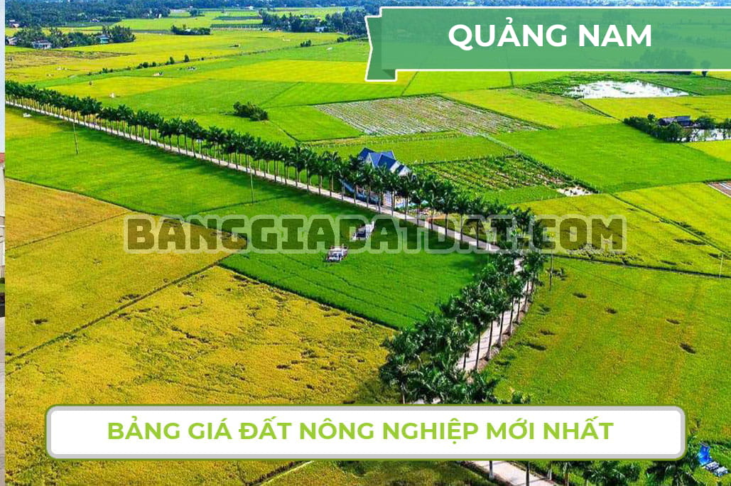 Bảng giá đất nông nghiệp Quảng Nam mới nhất năm 2022
