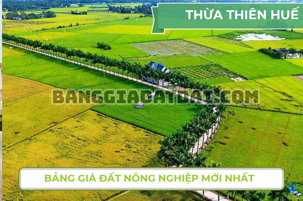 Bảng giá đất nông nghiệp Thừa Thiên Huế mới nhất năm 2022
